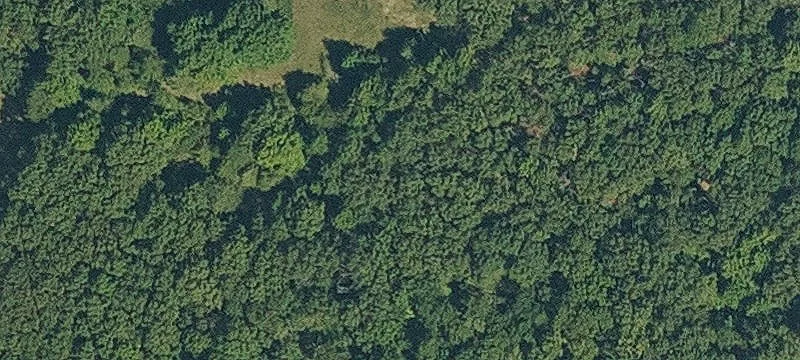 Pineville, AR 72566