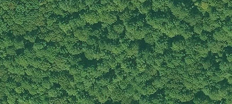 Redfield, AR 72132