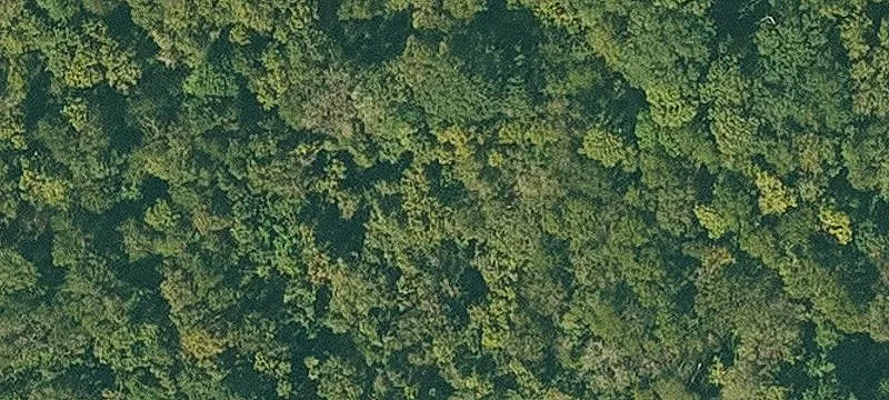Dover, AR 72837