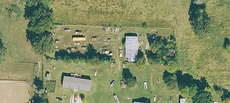 Parakeet Ln