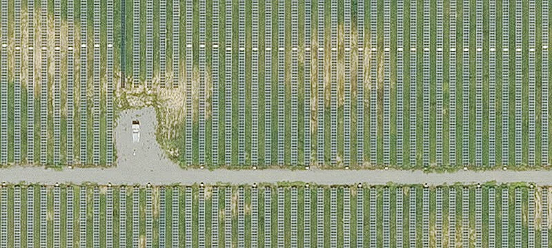 Searcy, AR 72143