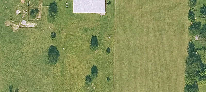Dickson Rd