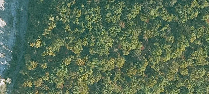 Woods Ldg Rd