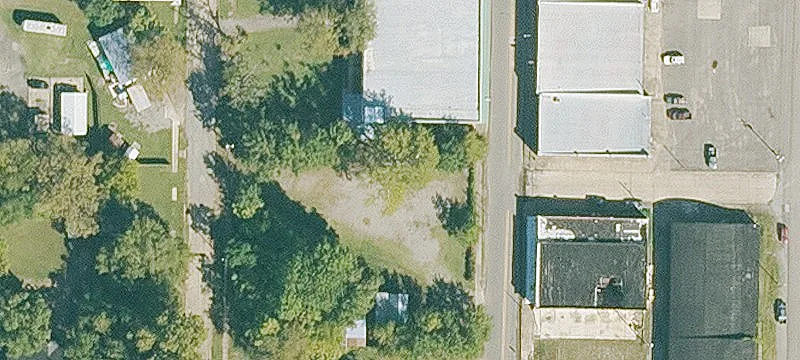 Elm