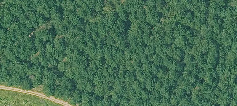 Ashdown, AR 71822