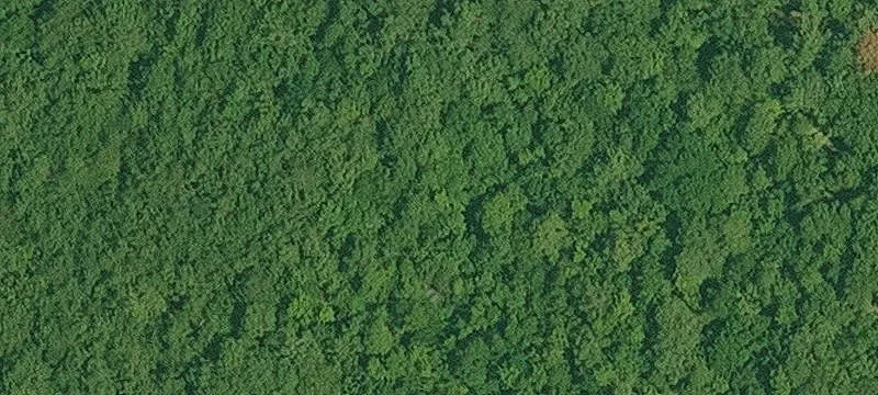 Bearden, AR 71720