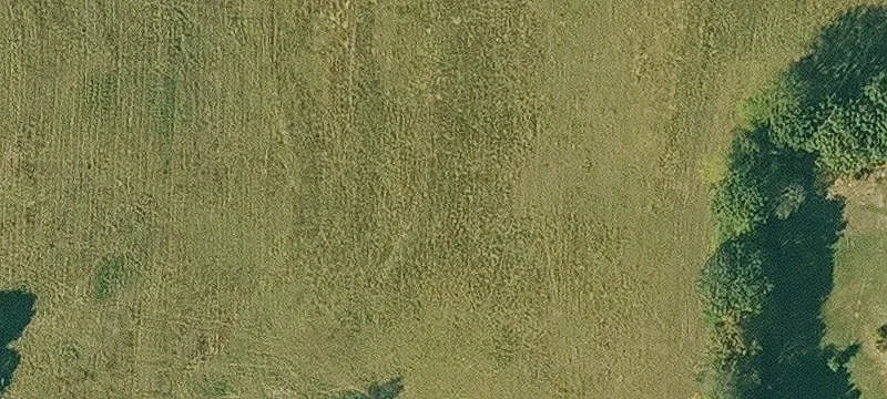 Law 316, AR