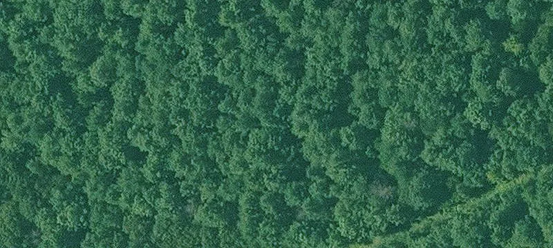 Fulton, AR 71838