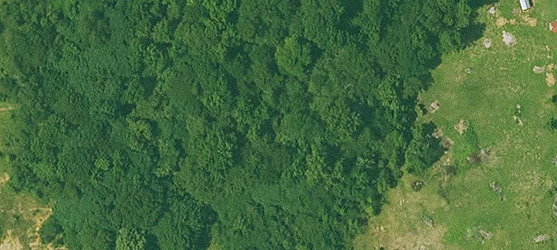Cove, AR 71937