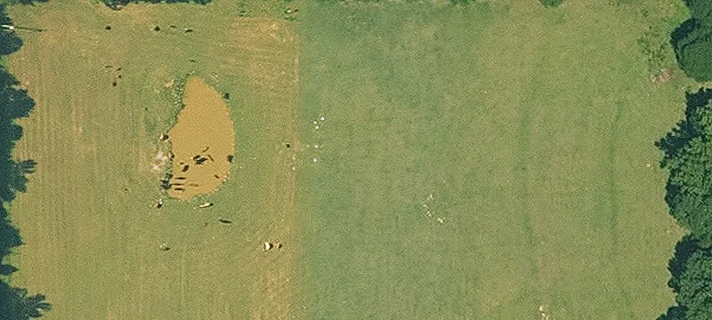Doddridge, AR 71834
