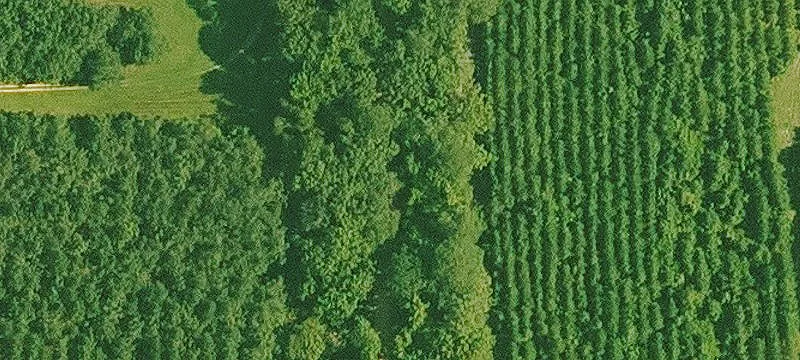 Camden, AR 71701