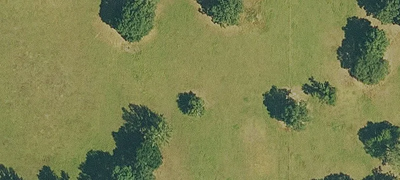 313 Hwy 64th W