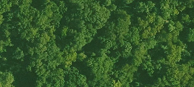 Camden, AR 71701