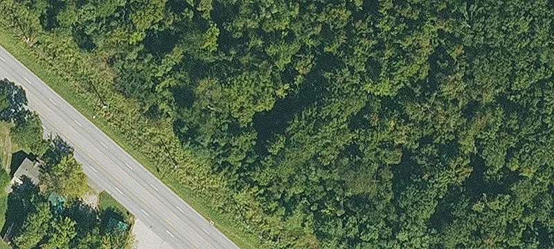 Marshall, AR 72650