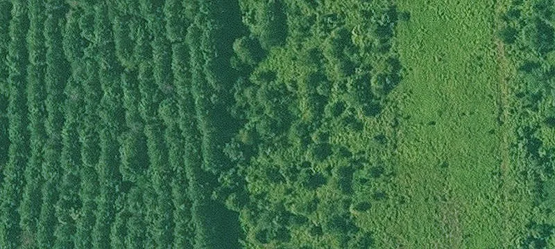 Fulton, AR 71838
