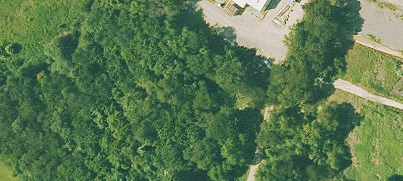 Glenwood, AR 71943