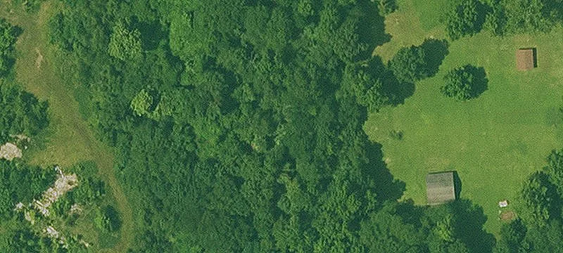 Cove, AR 71937