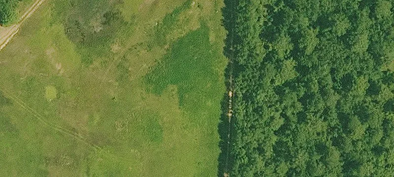 Hwy 203