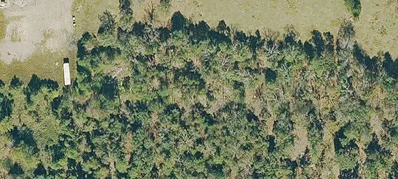 Delaware, AR 72835
