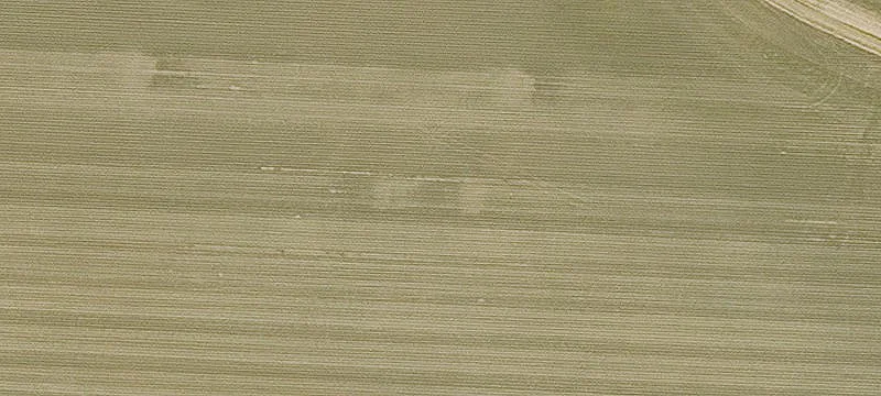 Holly Grove, AR 72069