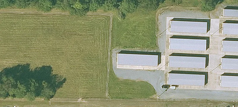 1129 Buerkle St
