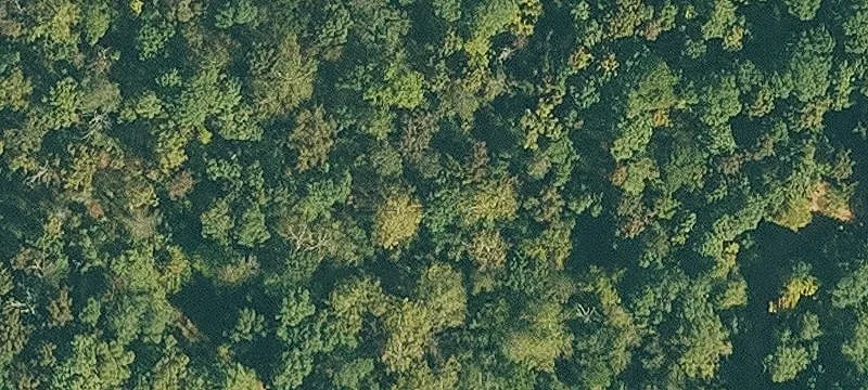 Ozark, AR 72949