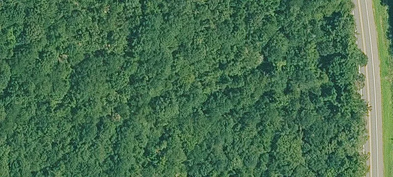Doddridge, AR 71834