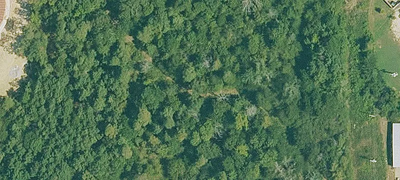 Carpenter Dm Rd