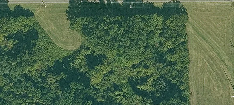 Jackson S Woods