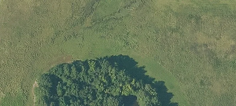 Bald Knob, AR 72010