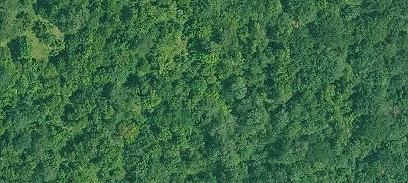 Fulton, AR 71838
