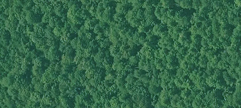 Fulton, AR 71838