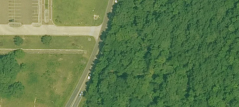 601 Timberlane Dr
