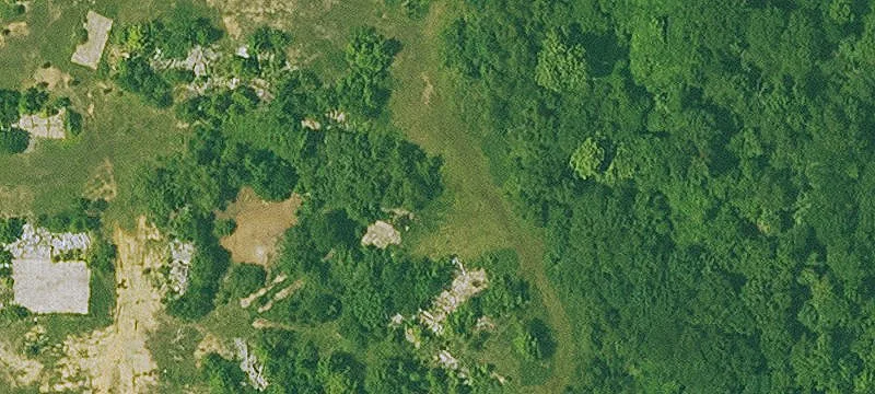 Cove, AR 71937