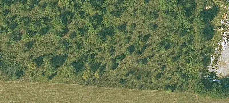 Stuttgart, AR 72160
