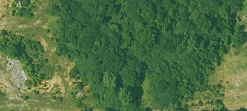 Cove, AR 71937