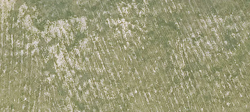 White Hall, AR 71602