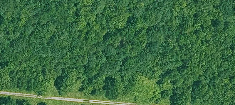 Fulton, AR 71838