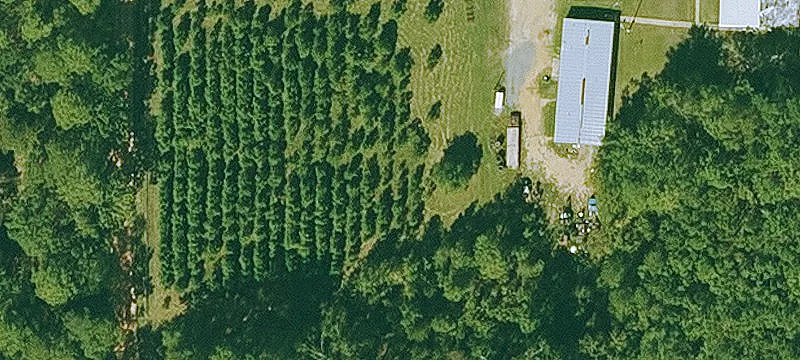 607 Dr Rhine Dr