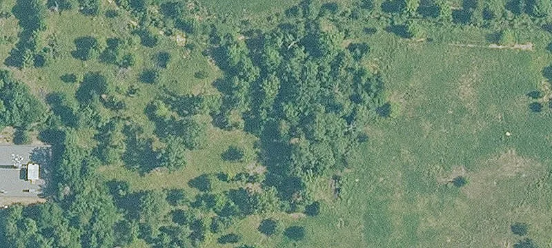 Carnahan Dr