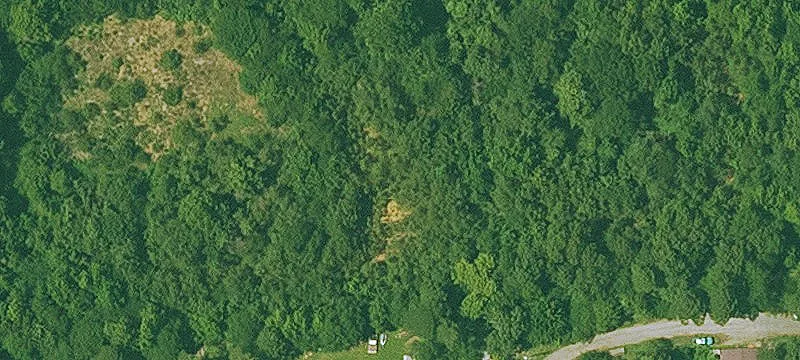 Cove, AR 71937