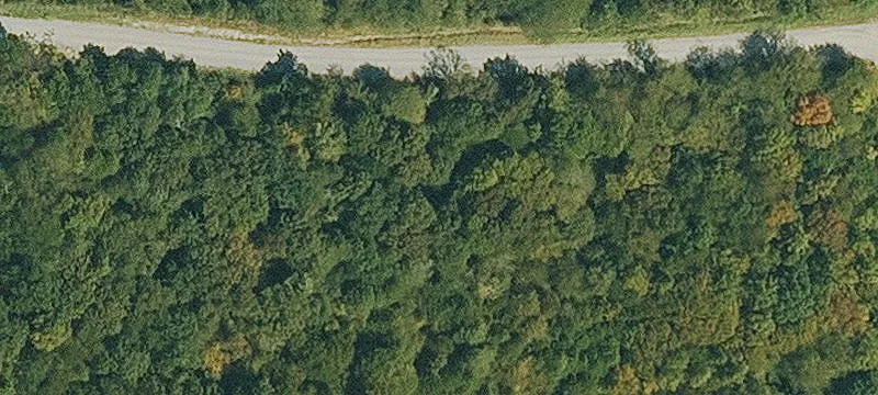 Pangburn, AR 72121