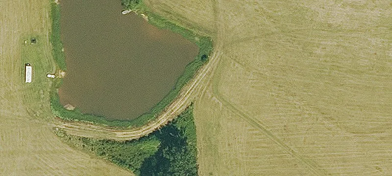 Graham Rd