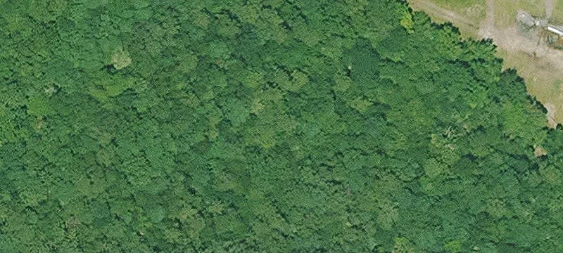 Cove, AR 71937