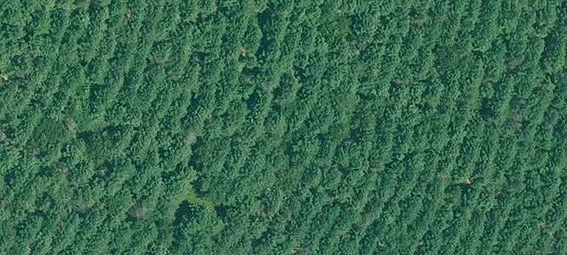 Fulton, AR 71838
