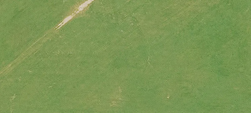 Taylor Orch Rd