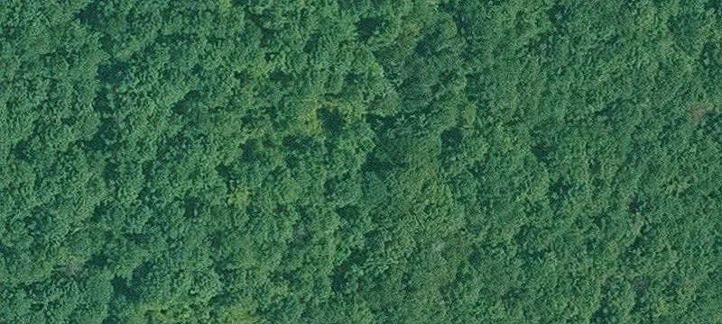 Fulton, AR 71838