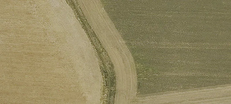 Holly Grove, AR 72069
