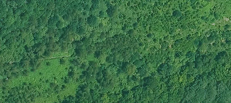 Fulton, AR 71838