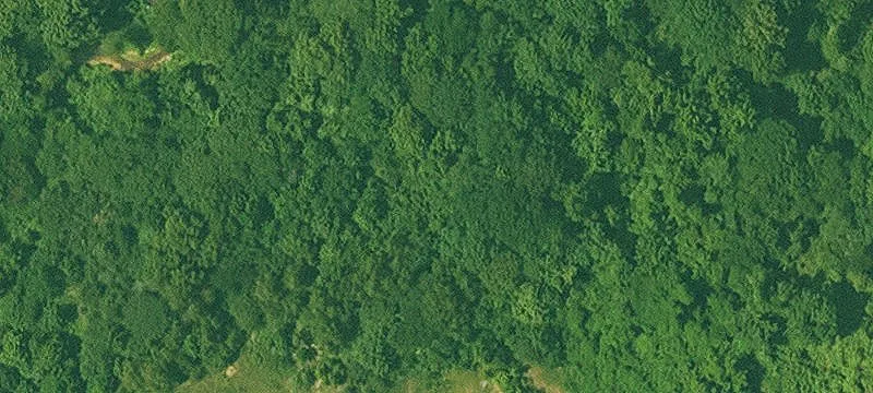 Cove, AR 71937